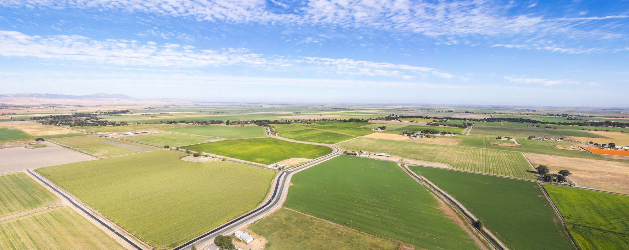 Aerial view of farmland 